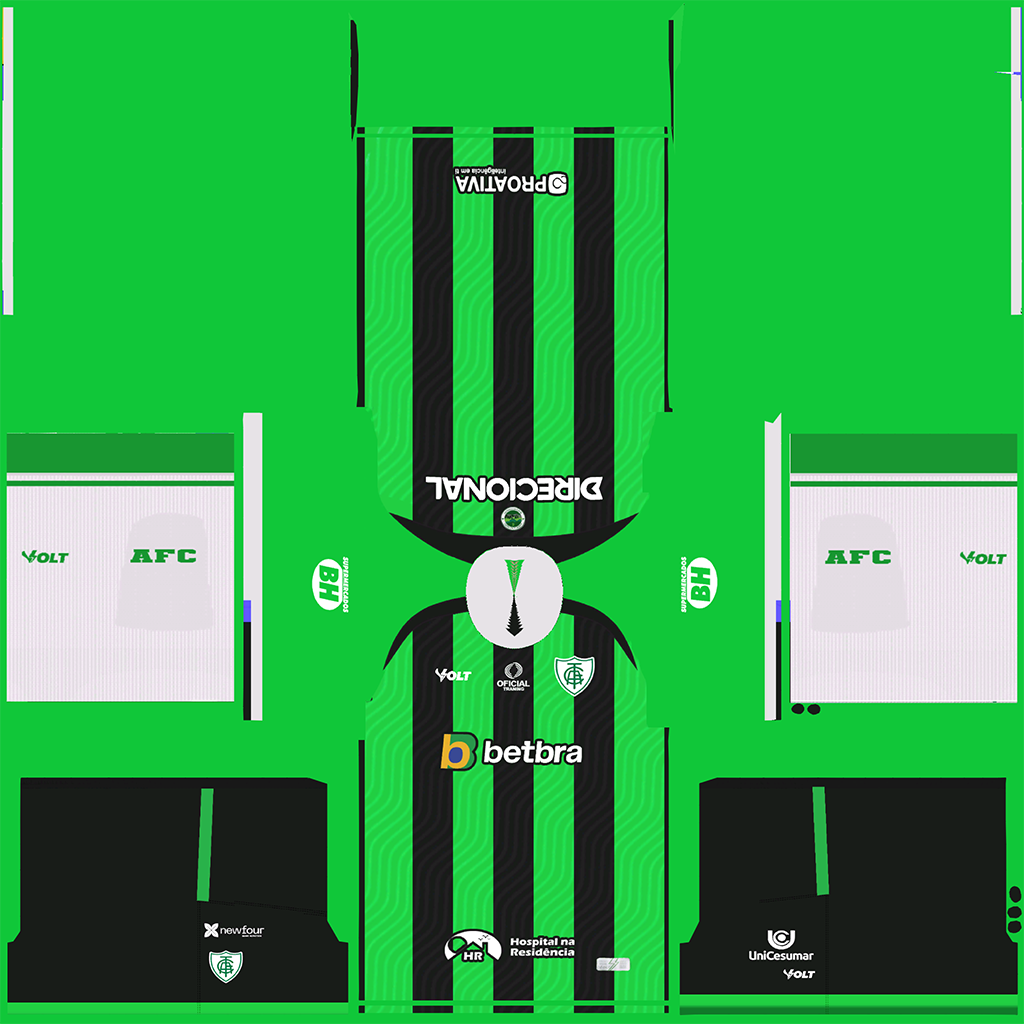 América Mineiro İç Saha 3D forması