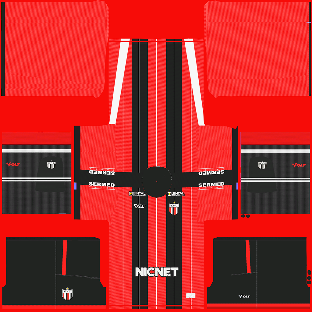 Botafogo-SP Away 3D kit