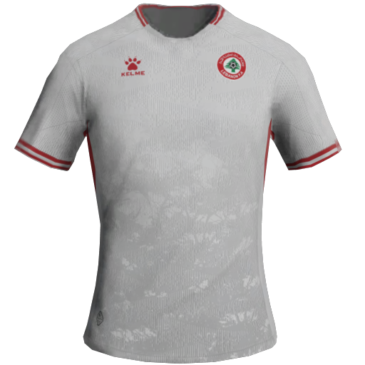 Lebanon Away 2D kit