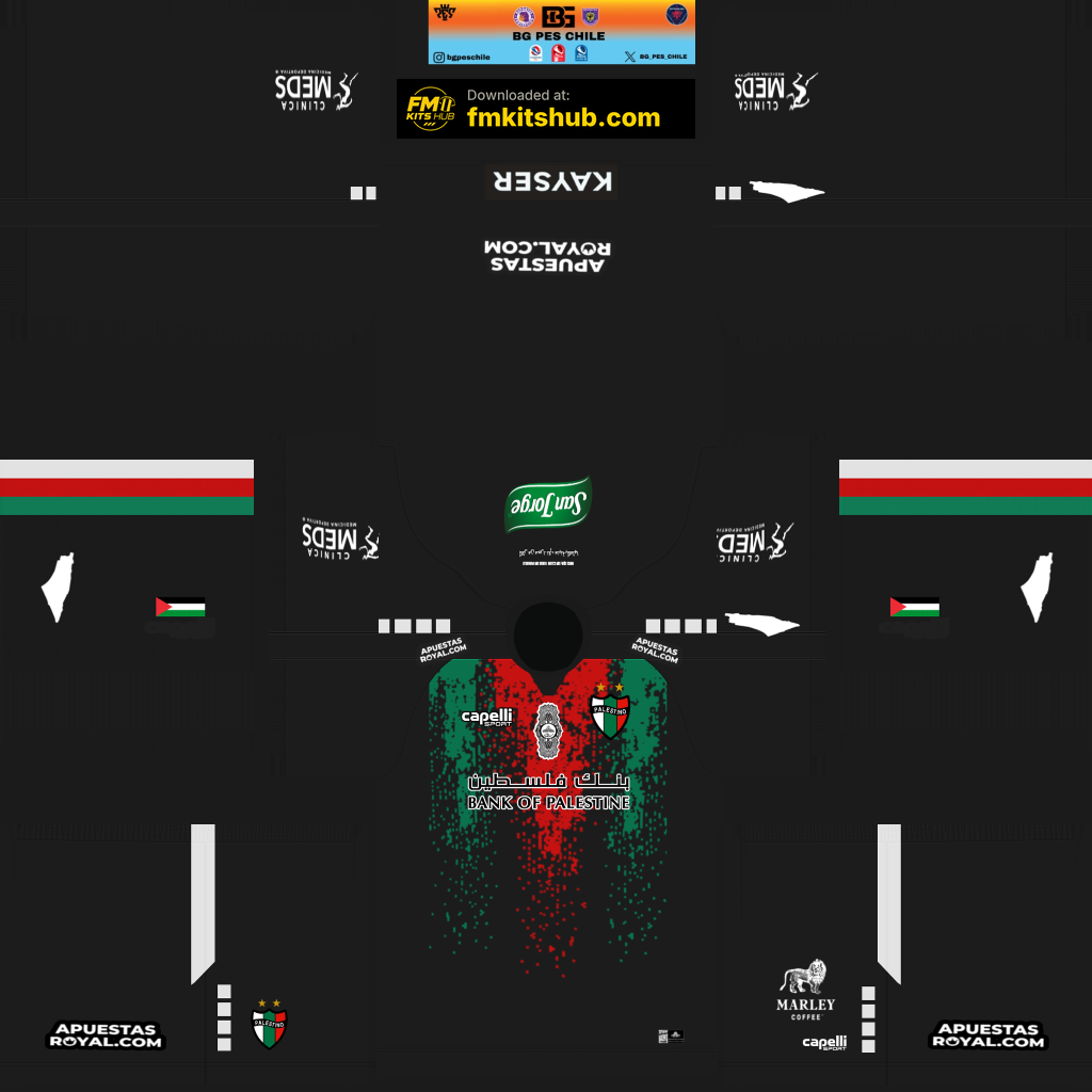 Palestino Away 3D kit
