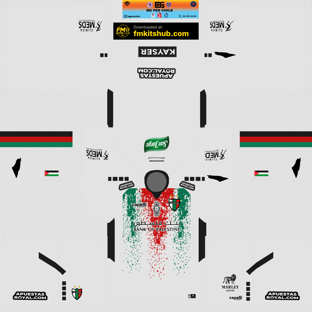 Palestino Third 3D kit