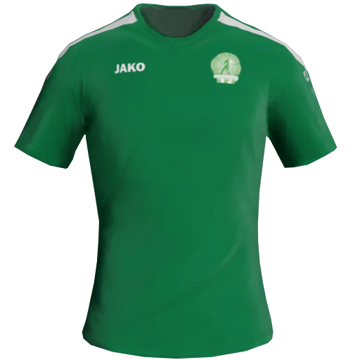Turkmenistan Home 2D kit