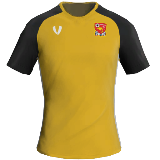 Papua New Guinea Away 2D kit