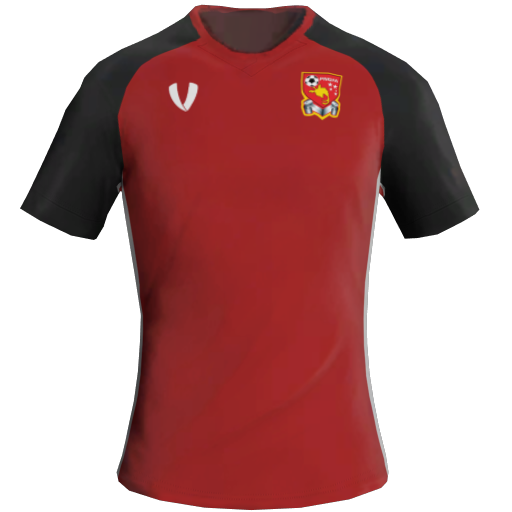 Papua New Guinea Home 2D kit