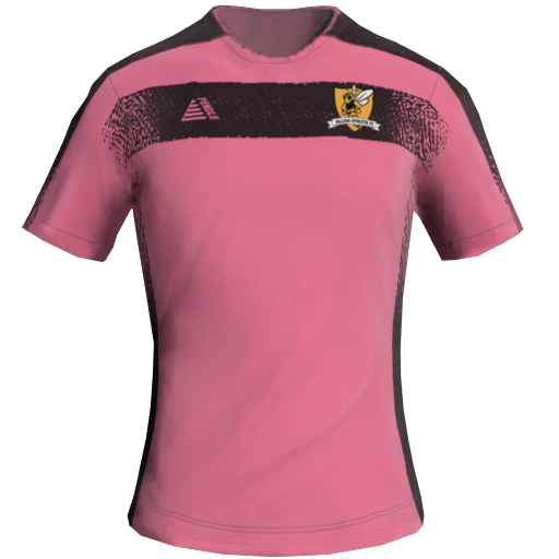 Alloa Athletic Üçüncü 2D forması