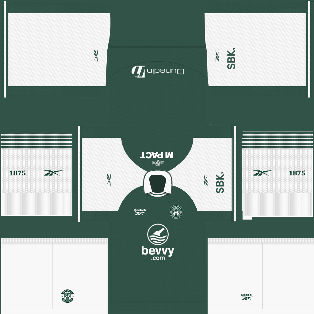 Hibernian Home 3D kit