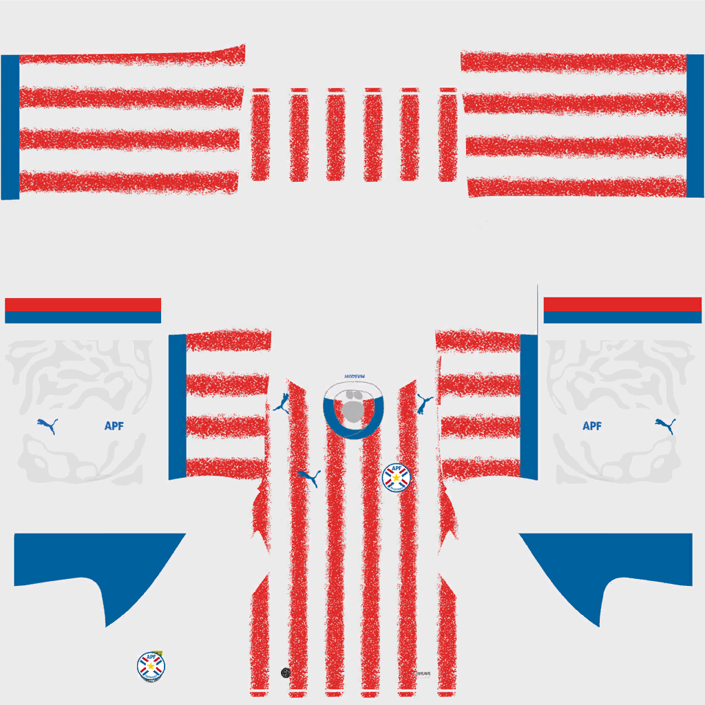 Paraguay Home 3D kit