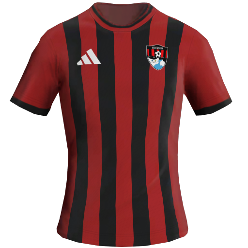 Equipación Local 2D del Van Spor FK