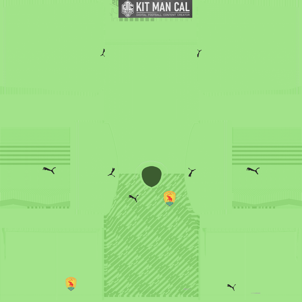 Guinea Away GK kit