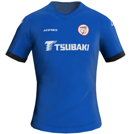 Barendrecht Away 2D kit