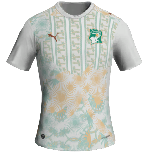 Ivory Coast Away 2D kit