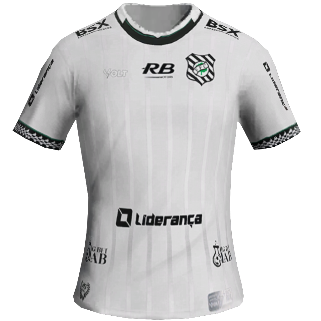 Equipación Visitante 2D del Figueirense
