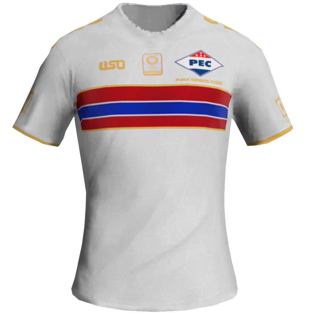 Maillot Extérieur 2D Piauí