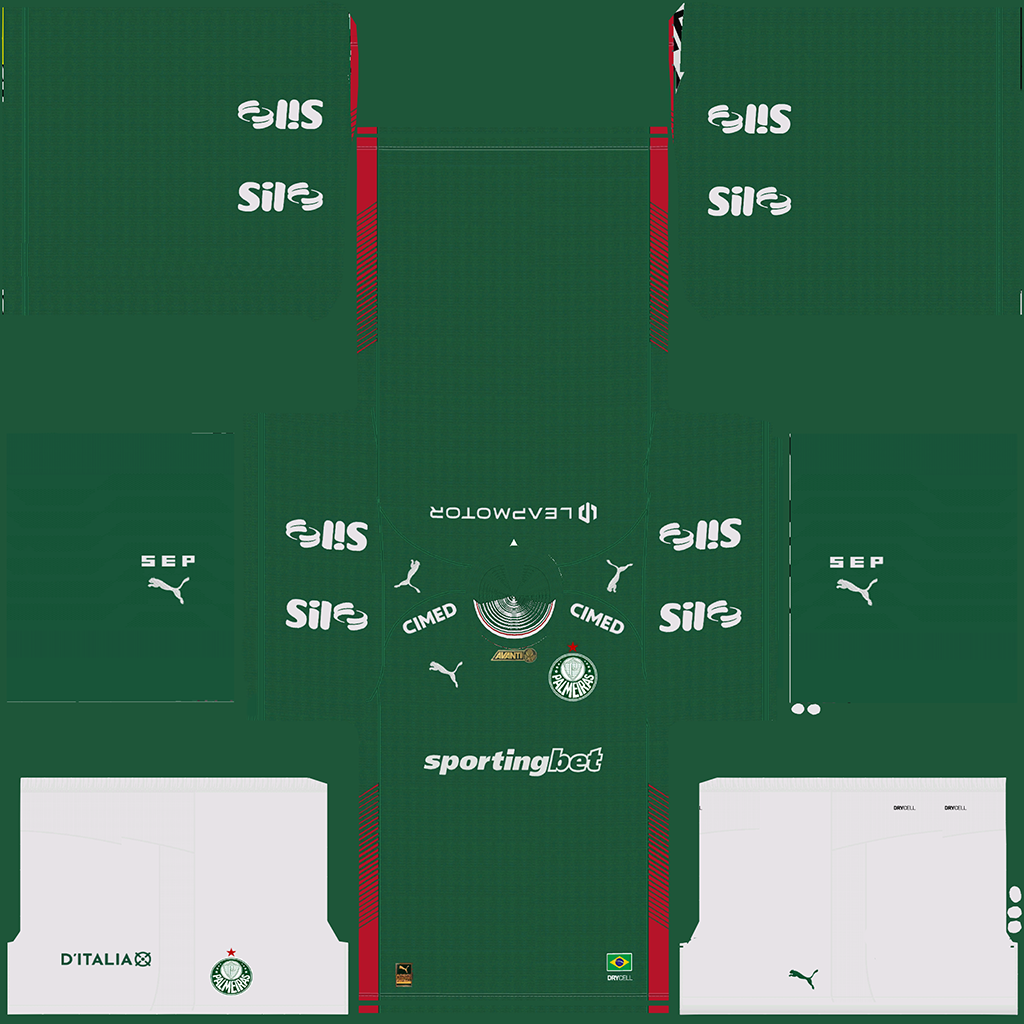 Maillot Domicile 3D Palmeiras