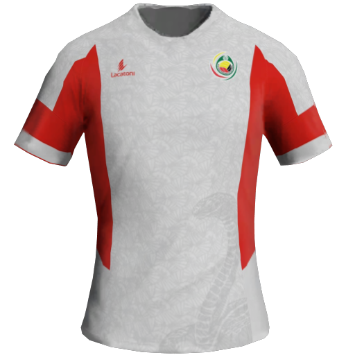 Mozambique Away 2D kit