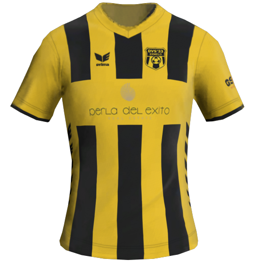 DVS '33 Home 2D kit