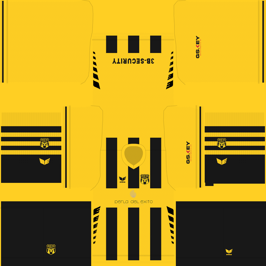 DVS '33 Home 3D kit