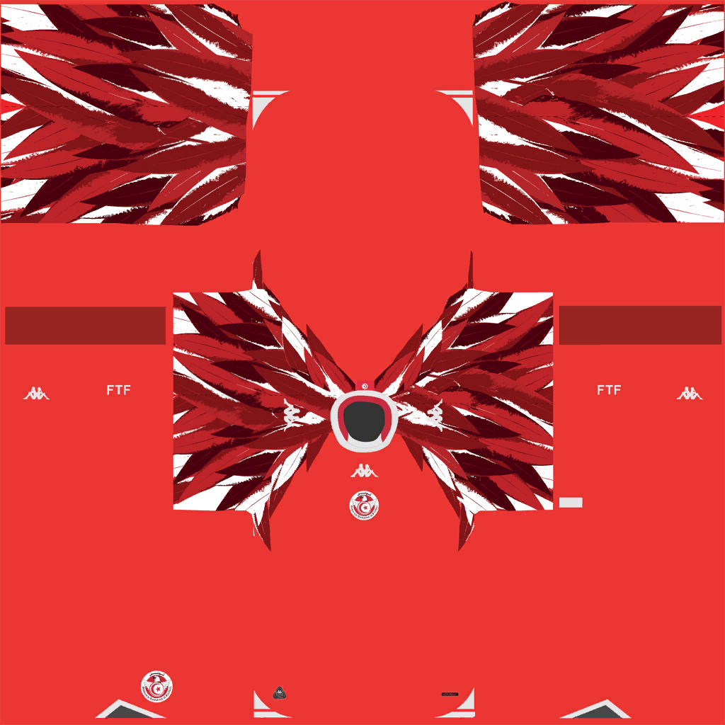Tunisia Away 3D kit