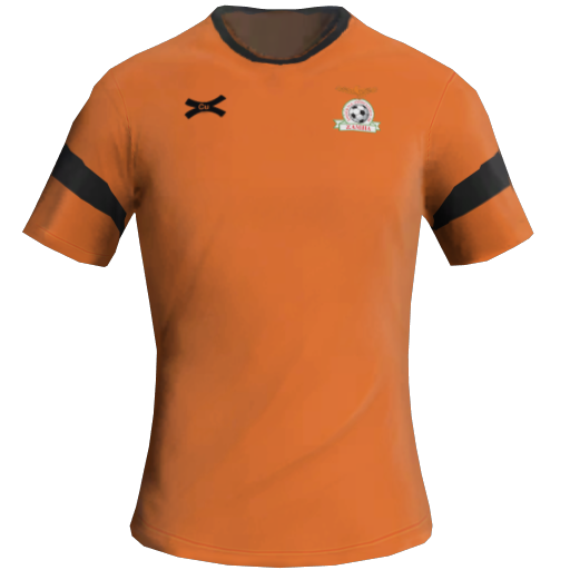 Zambia Away 2D kit