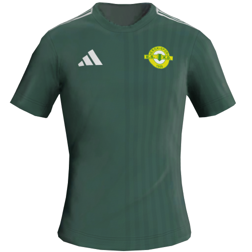 Divisa Casa 2D del Esenler Erokspor