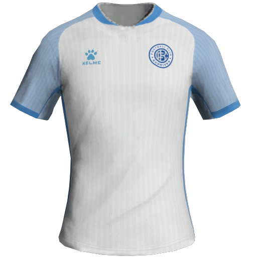 Kudrivka Home 2D kit
