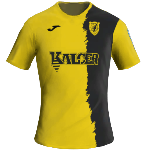 Radomlje Home 2D kit