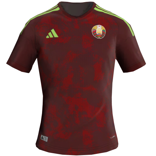 Belarus Home 2D kit