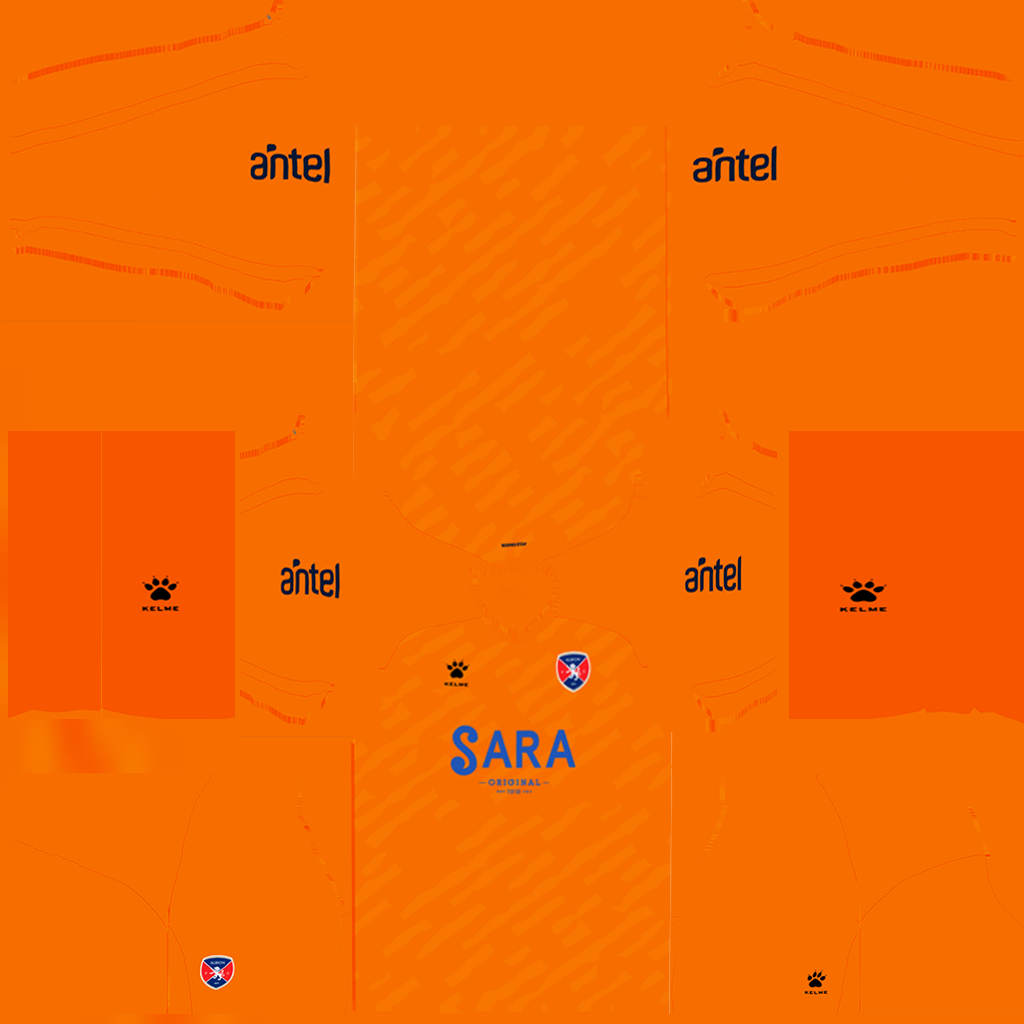 Divisa Casa Portiere del Albion