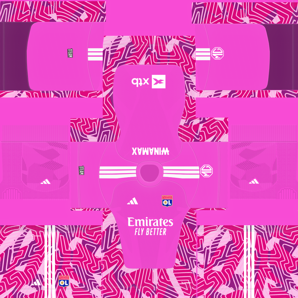Equipación Tercera Portero del Lyon