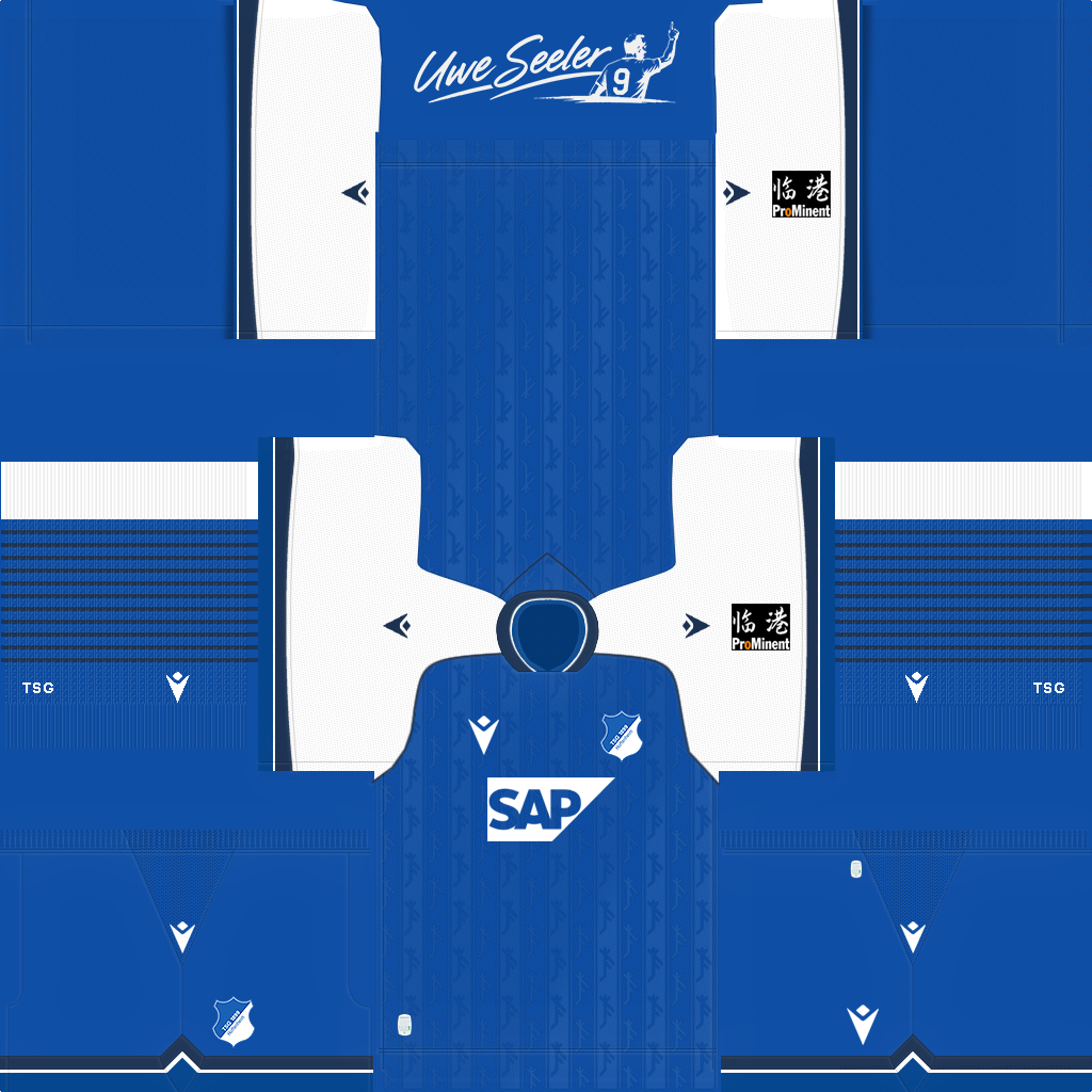 Hoffenheim Home 3D kit