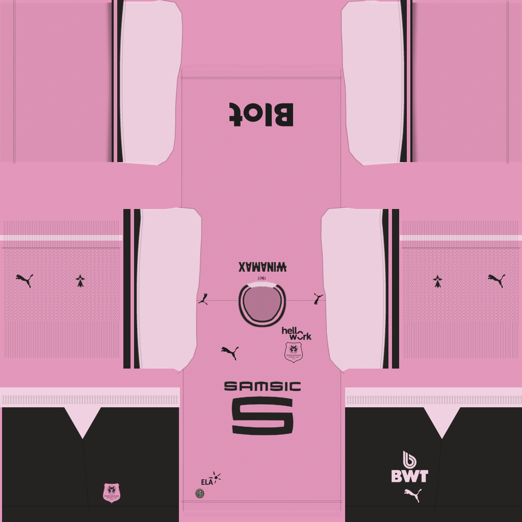 Equipación Tercera 3D del Rennes