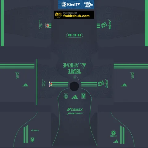 Tigres UANL Third 3D kit
