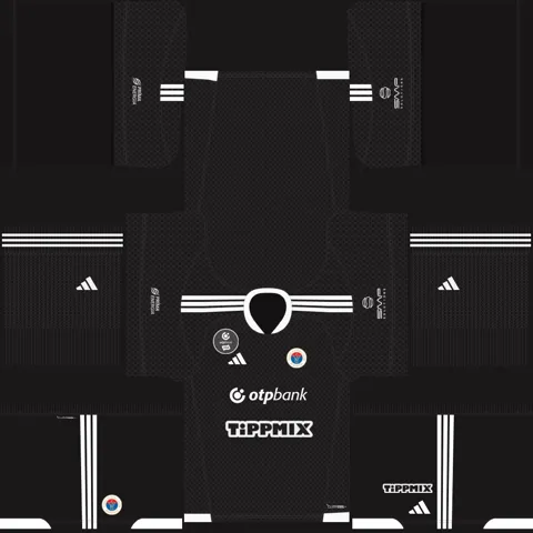 Vasas Third 3D kit