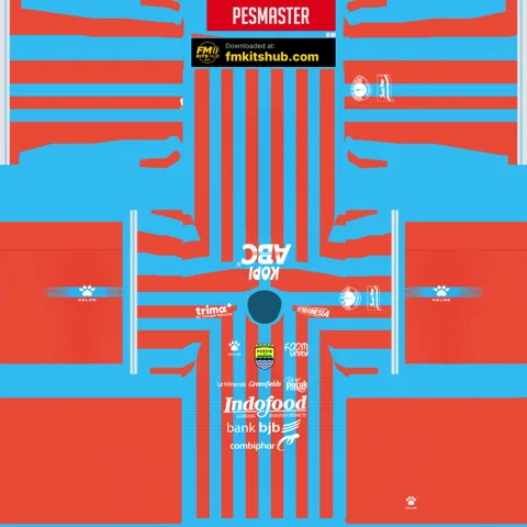 Persib Bandung Üçüncü 3D forması