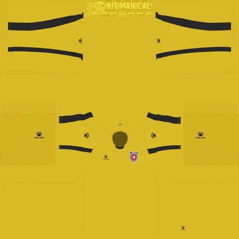 Jordan Home GK kit