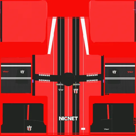 Botafogo-SP Away 3D kit