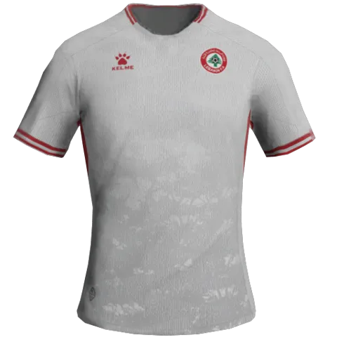 Lebanon Away 2D kit