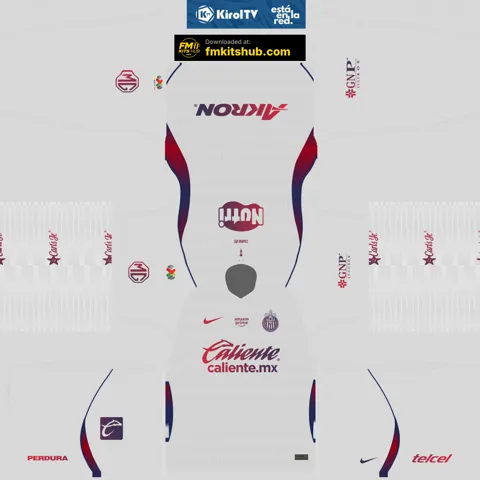 Deportivo Guadalajara Away 3D kit