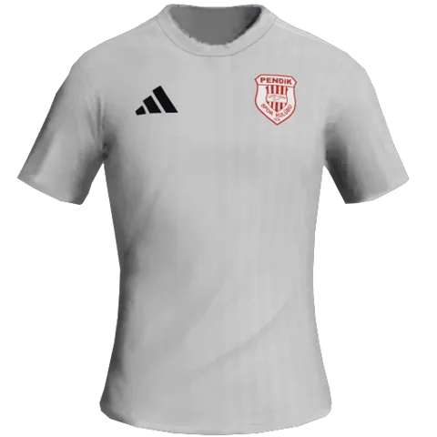 Pendikspor Üçüncü 2D forması