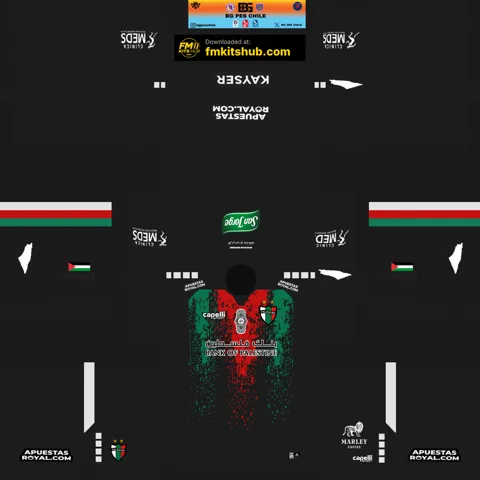 Palestino Away 3D kit