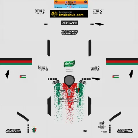 Palestino Third 3D kit