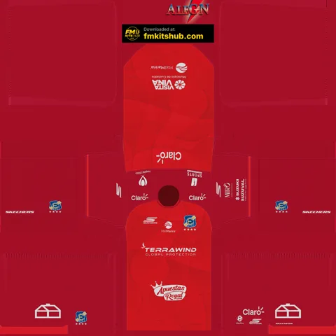 Everton de Viña del Mar Away GK kit
