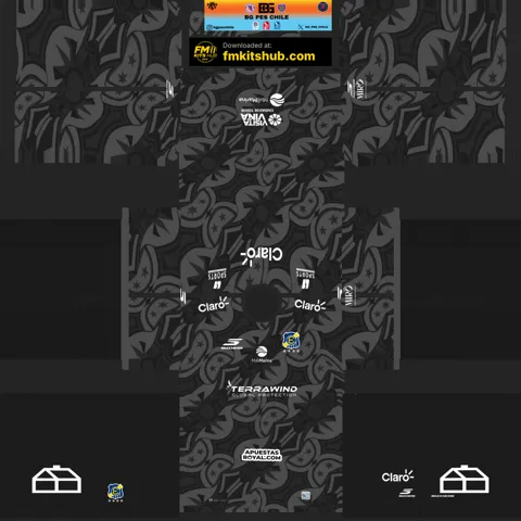 Everton de Viña del Mar Home GK kit