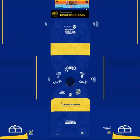 Everton de Viña del Mar Home 3D kit