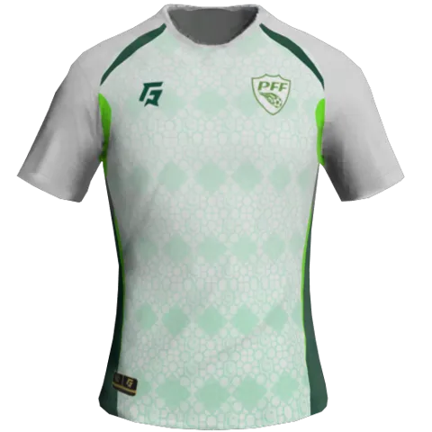 Pakistan Away 2D kit