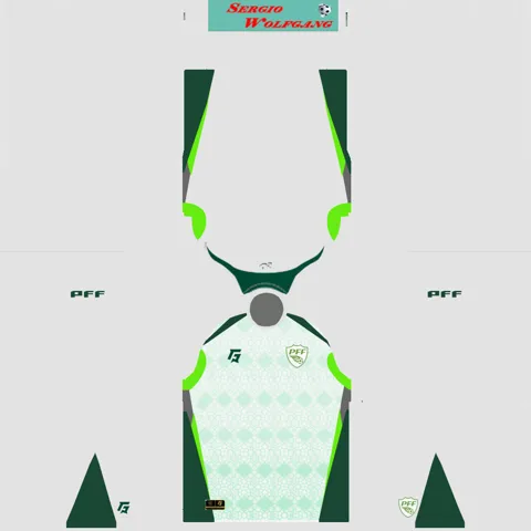 Pakistan Away 3D kit