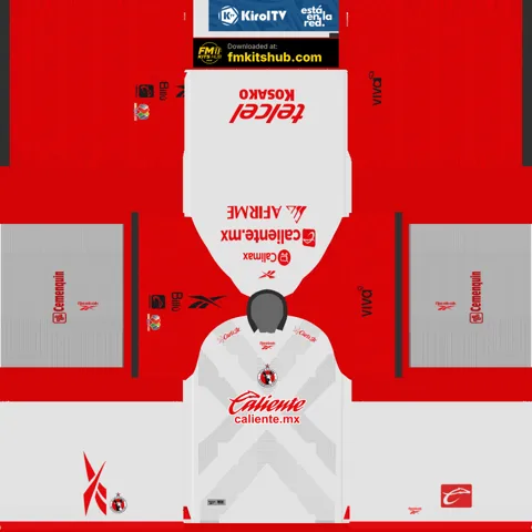 Xolos Tijuana Away 3D kit