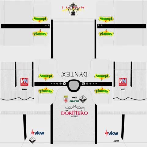 Rheindorf Altach Home 3D kit