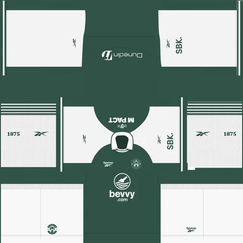 Hibernian Home 3D kit