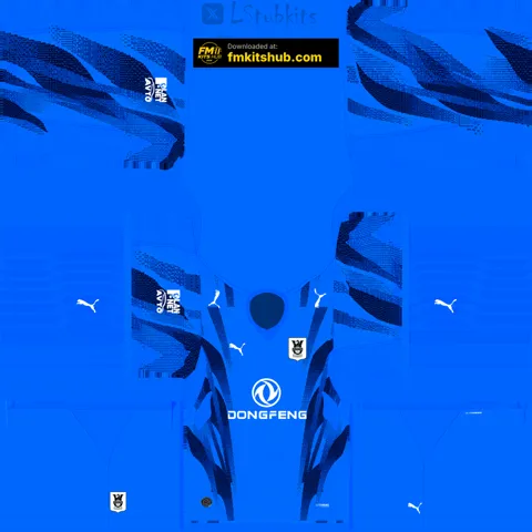 Olimpija Lublana Home GK kit